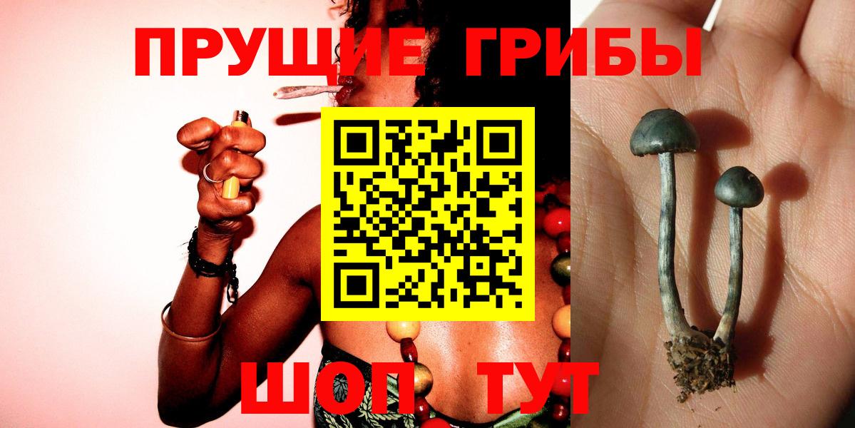 Галлюциногенные грибы MAGIC MUSHROOMS Рыбинск