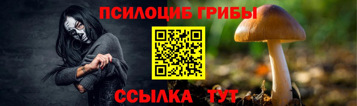 Рыбинск  Псилоцибиновые грибы MAGIC MUSHROOMS  как найти наркотики  Вход с VPN 